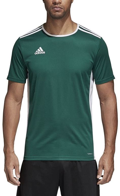 adidas trikot grün entrada 18|Adidas Entrada 18 Trikot kurzarm (CD83) .